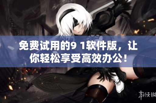 免费试用的9 1软件版，让你轻松享受高效办公！