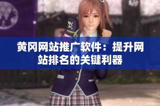 黄冈网站推广软件：提升网站排名的关键利器