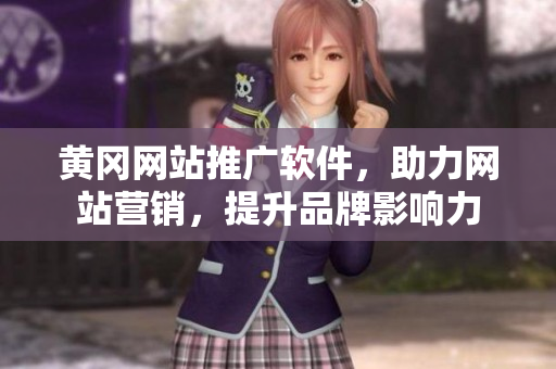 黄冈网站推广软件，助力网站营销，提升品牌影响力