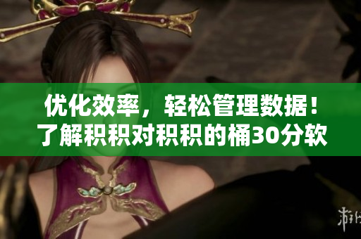 优化效率，轻松管理数据！了解积积对积积的桶30分软件