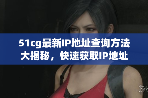51cg最新IP地址查询方法大揭秘，快速获取IP地址
