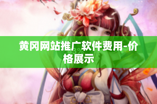 黄冈网站推广软件费用-价格展示