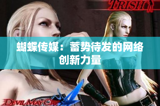 蝴蝶传媒：蓄势待发的网络创新力量