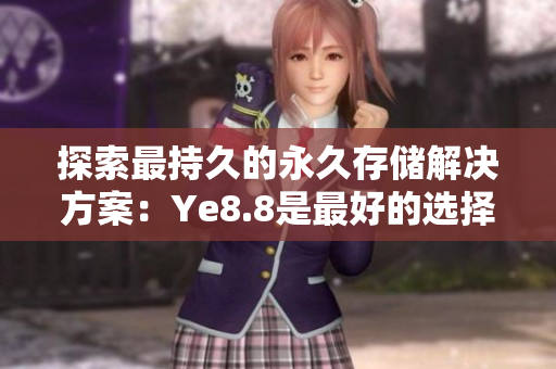 探索最持久的永久存储解决方案：Ye8.8是最好的选择