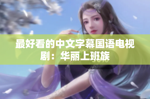 最好看的中文字幕国语电视剧：华丽上班族