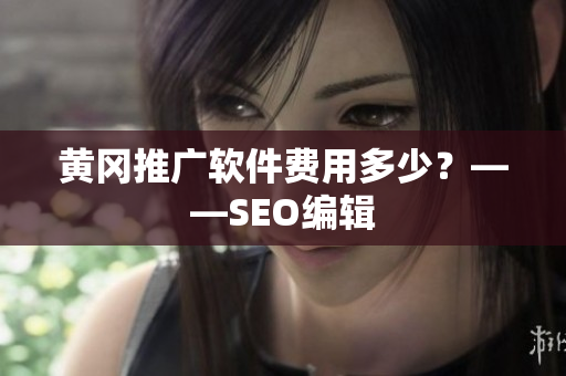 黄冈推广软件费用多少？——SEO编辑