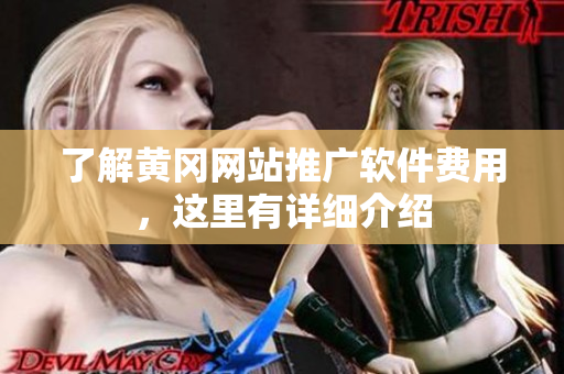 了解黄冈网站推广软件费用，这里有详细介绍