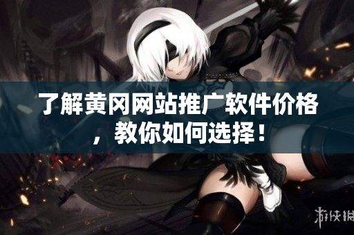 了解黄冈网站推广软件价格，教你如何选择！