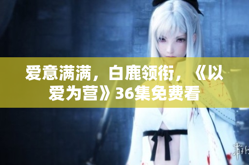 爱意满满，白鹿领衔，《以爱为营》36集免费看