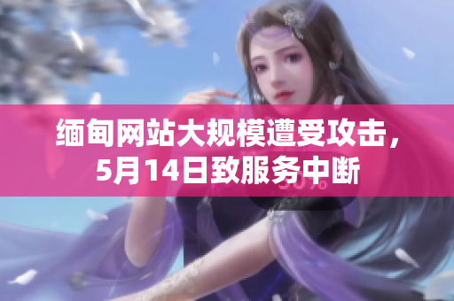 缅甸网站大规模遭受攻击，5月14日致服务中断