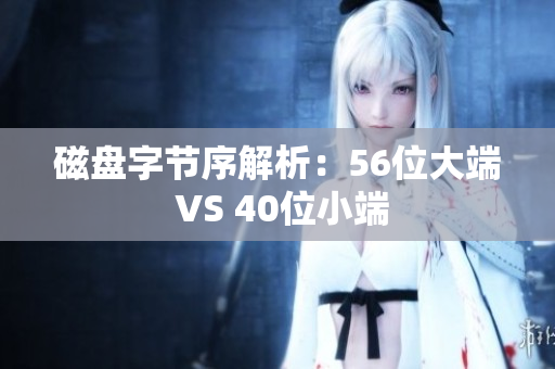 磁盘字节序解析：56位大端 VS 40位小端