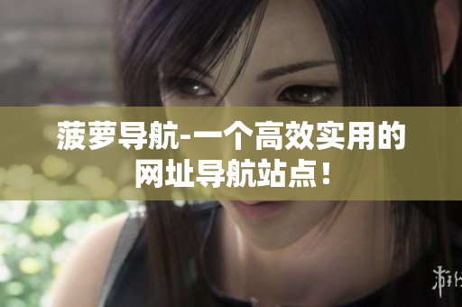 菠萝导航-一个高效实用的网址导航站点！