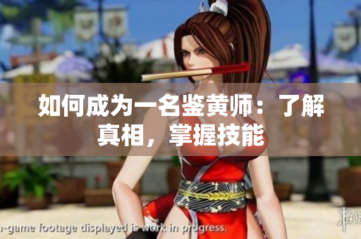 如何成为一名鉴黄师：了解真相，掌握技能