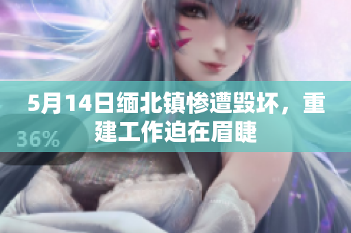 5月14日缅北镇惨遭毁坏，重建工作迫在眉睫
