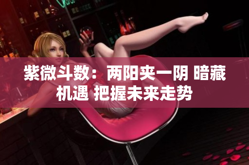 紫微斗数：两阳夹一阴 暗藏机遇 把握未来走势