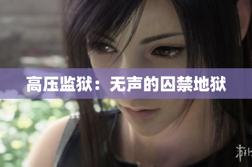高压监狱：无声的囚禁地狱