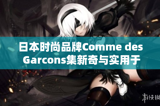 日本时尚品牌Comme des Garcons集新奇与实用于一身
