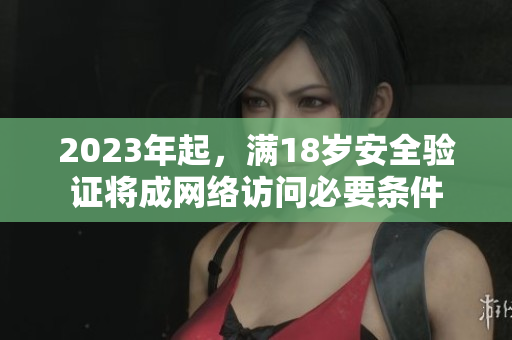 2023年起，满18岁安全验证将成网络访问必要条件