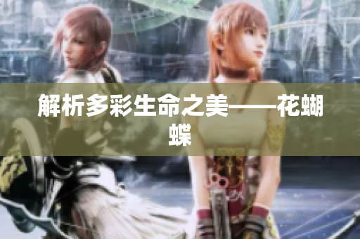 解析多彩生命之美——花蝴蝶