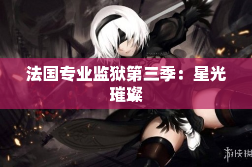 法国专业监狱第三季：星光璀璨
