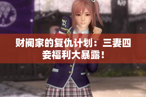 财阀家的复仇计划：三妻四妾福利大暴露！