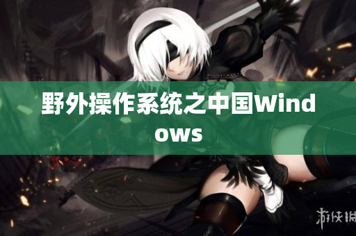 野外操作系统之中国Windows