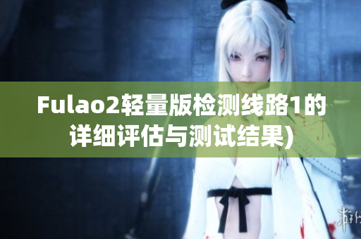 Fulao2轻量版检测线路1的详细评估与测试结果)