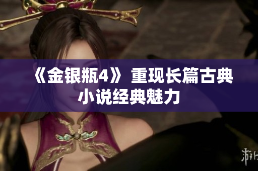 《金银瓶4》 重现长篇古典小说经典魅力