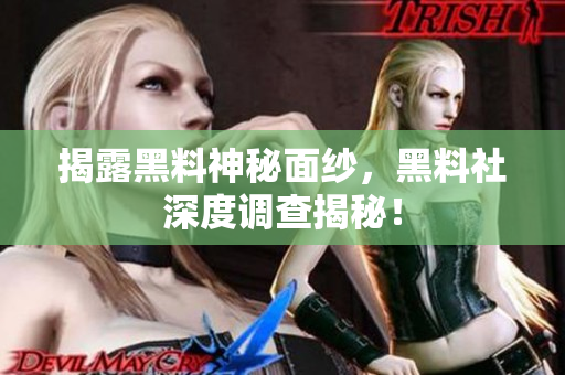 揭露黑料神秘面纱，黑料社深度调查揭秘！