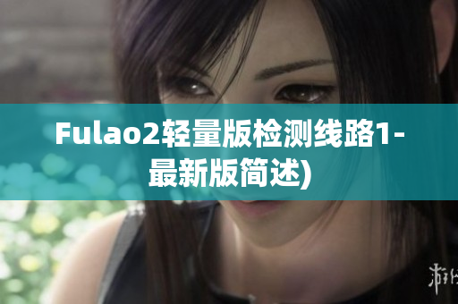 Fulao2轻量版检测线路1-最新版简述)