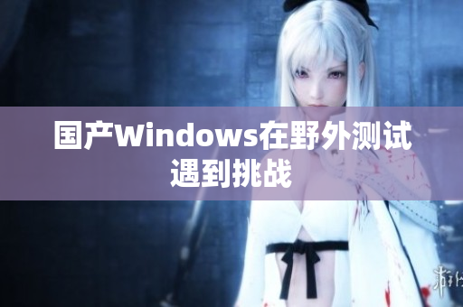 国产Windows在野外测试遇到挑战