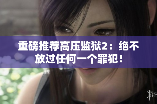重磅推荐高压监狱2：绝不放过任何一个罪犯！