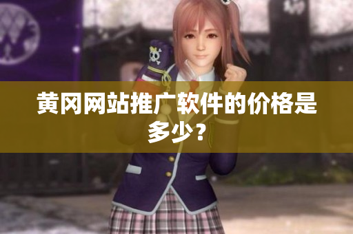 黄冈网站推广软件的价格是多少？