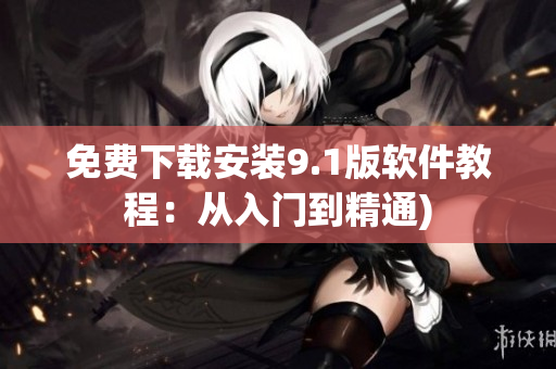 免费下载安装9.1版软件教程：从入门到精通)