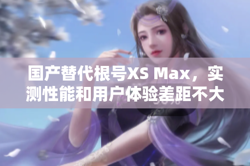 国产替代根号XS Max，实测性能和用户体验差距不大