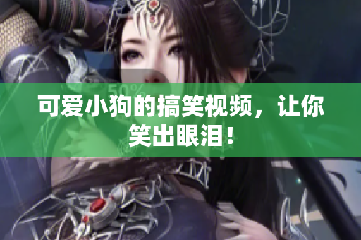 可爱小狗的搞笑视频，让你笑出眼泪！
