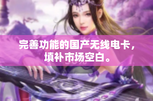 完善功能的国产无线电卡，填补市场空白。