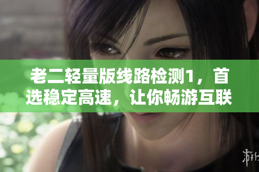 老二轻量版线路检测1，首选稳定高速，让你畅游互联网！