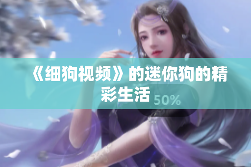 《细狗视频》的迷你狗的精彩生活