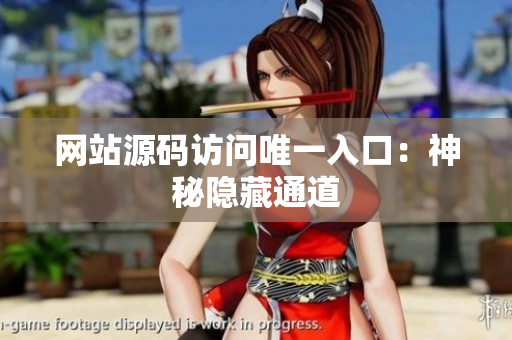 网站源码访问唯一入口：神秘隐藏通道