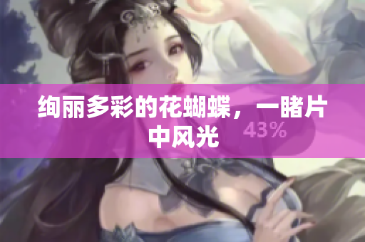 绚丽多彩的花蝴蝶，一睹片中风光