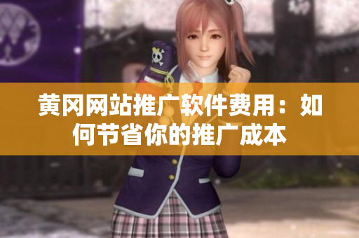 黄冈网站推广软件费用：如何节省你的推广成本