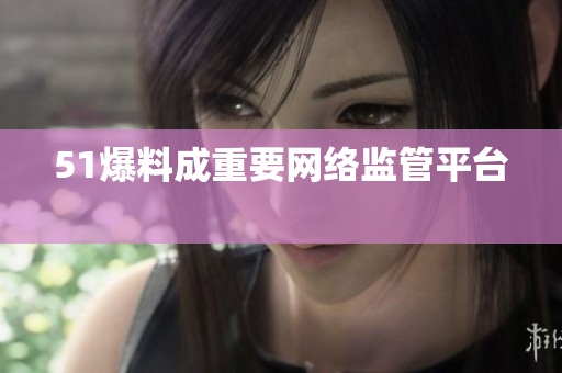 51爆料成重要网络监管平台 