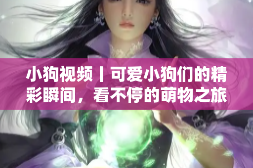 小狗视频丨可爱小狗们的精彩瞬间，看不停的萌物之旅