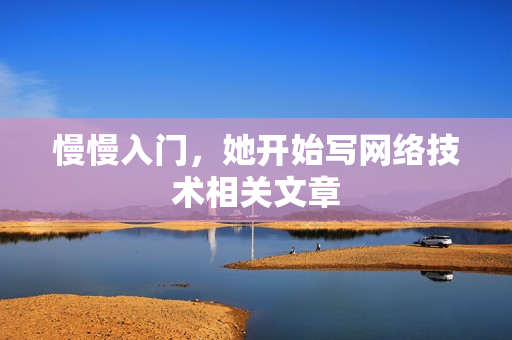 慢慢入门，她开始写网络技术相关文章