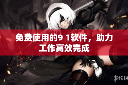 免费使用的9 1软件，助力工作高效完成