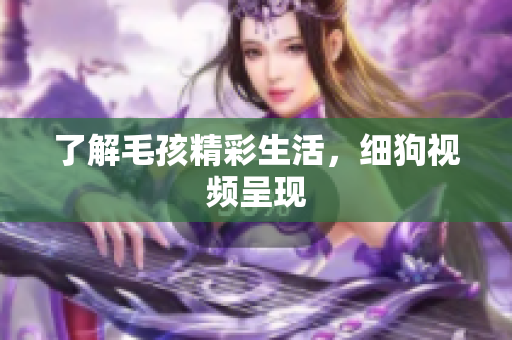 了解毛孩精彩生活，细狗视频呈现