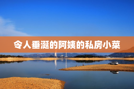 令人垂涎的阿姨的私房小菜