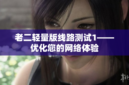 老二轻量版线路测试1——优化您的网络体验