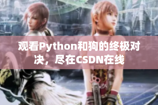 观看Python和狗的终极对决，尽在CSDN在线